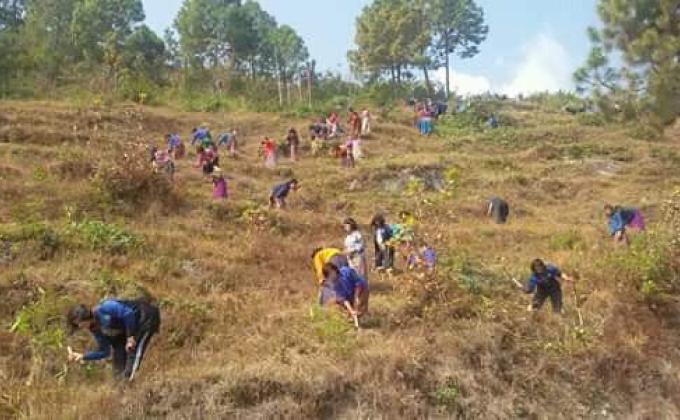 grass cutting volunteer