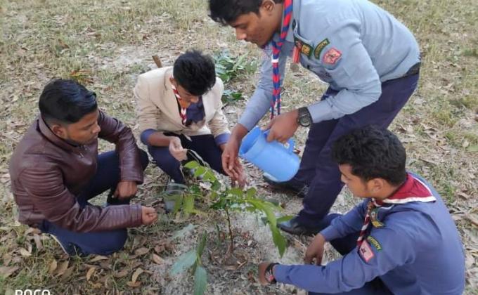 Rree plantation 2018, Bangladesh