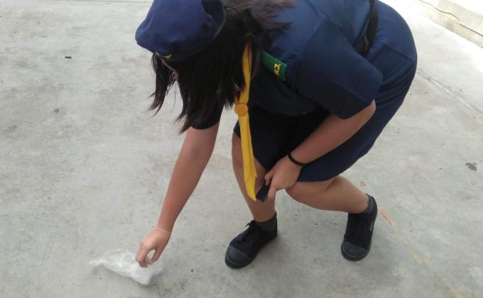 กิจกรรมเก็บขยะ