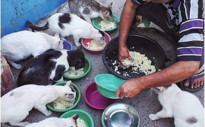 স্কাউট জীবের প্রতি সদয় 