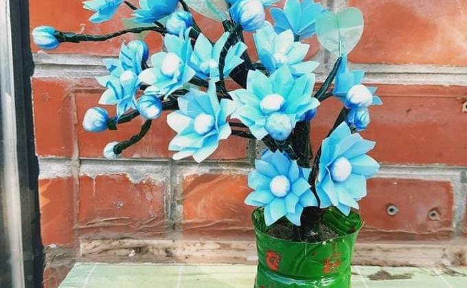 plastic tide turner badge challenge 