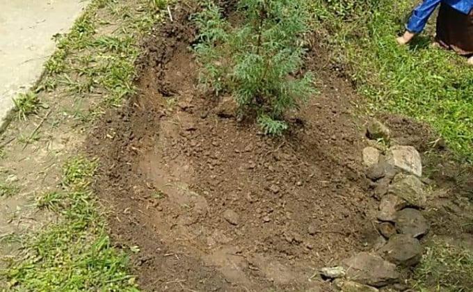 Green Shool for Green Bhutan
