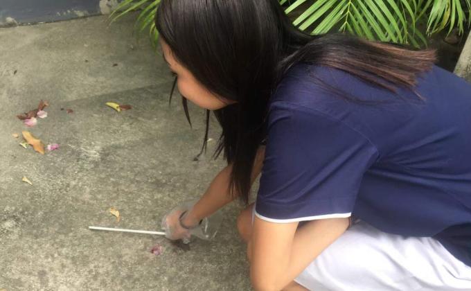 เก็บขยะ