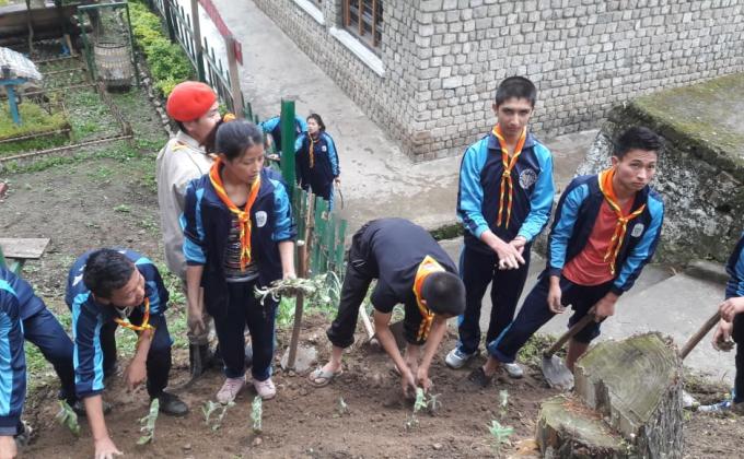 Daga Scout Peace Garden 