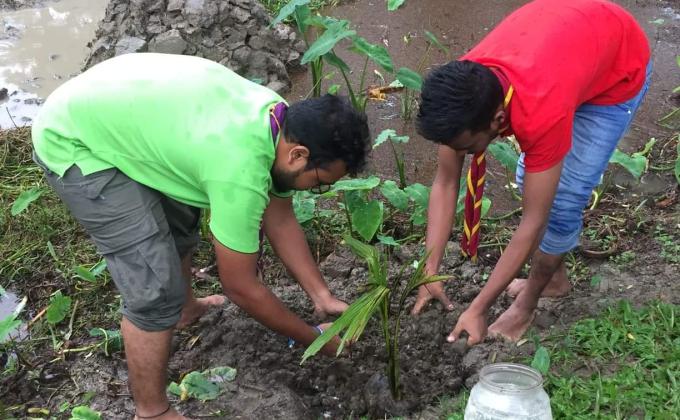 বৃক্ষ রোপন 
