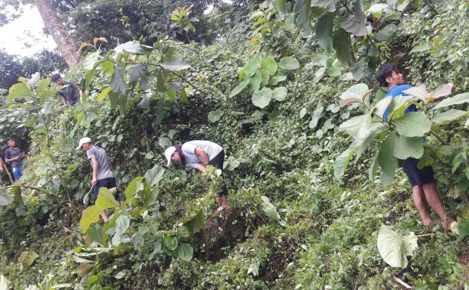 Voluntary service at Threlma Lhakhang