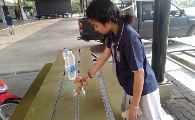 เก็บขยะในสถานศึกษา