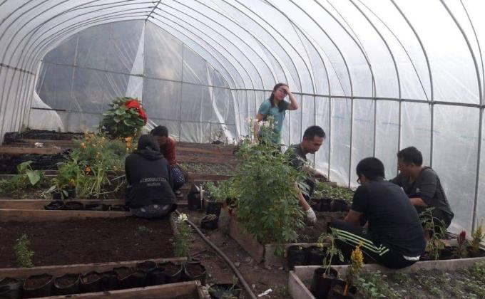 Maintaining the green house