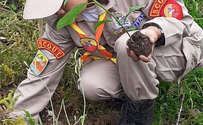 Observed June 2nd "Forestry Day"