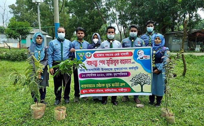 Tree plantation on the Pandamic