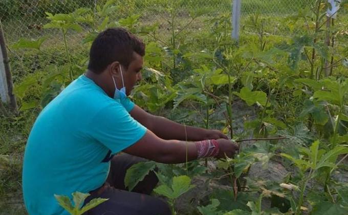 গার্ডেন পরিচর্চা