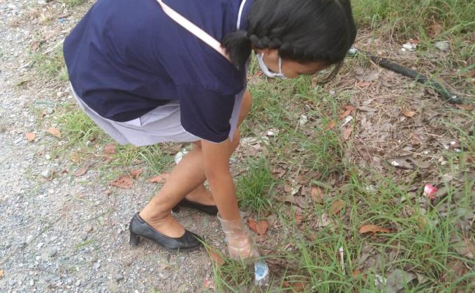 กิจกรรมเก็บขยะ