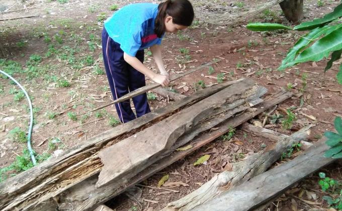 ทำความสะอาดบ้าน