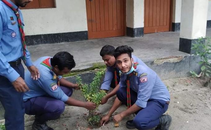গাছ লাগানো কর্মসূচি