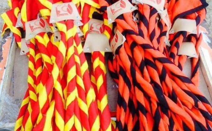 Investiture Programme 2017