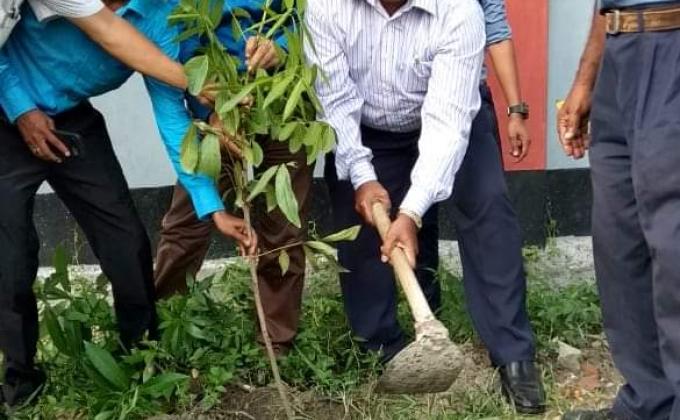 বৃক্ষরোপণ 