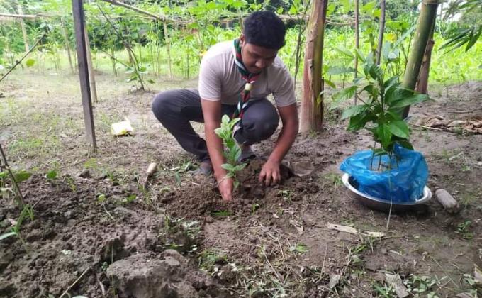 গাছ লাগাও পরিবেশ বাচাও