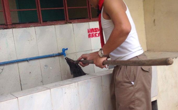 Brigada Skwela 2