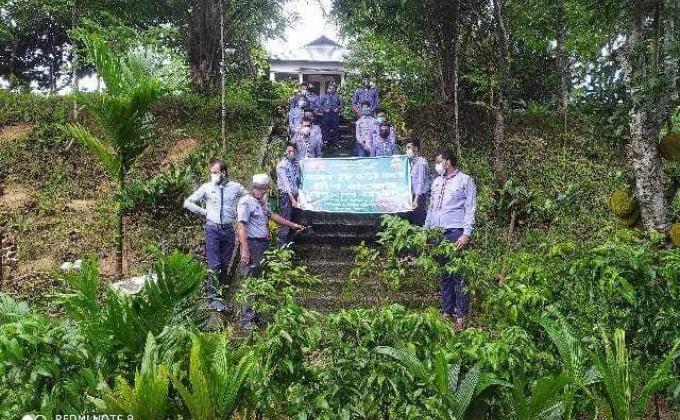 গ্রীণ প্রজেক্ট