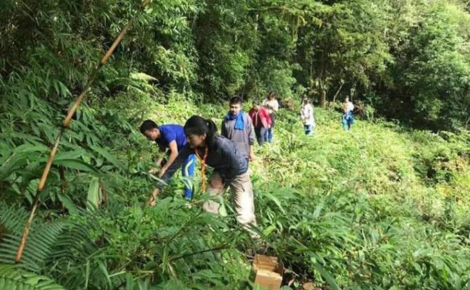 Cleaning campaign
