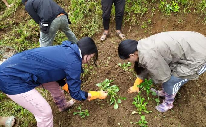 strong institution for better learning outcomes