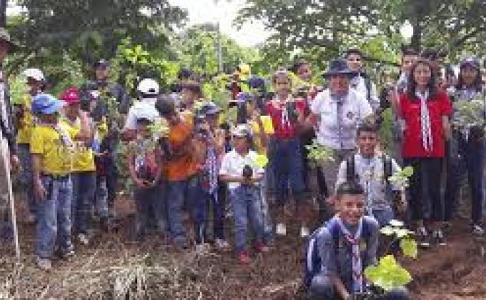 reforestacion