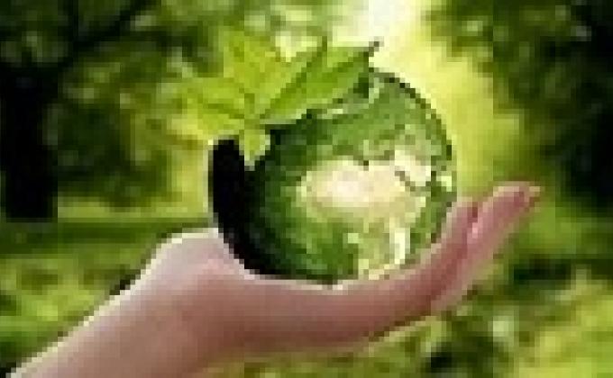 REFORESTACION, PLAYATON, PLOGGING Y EL AMOR AL MEDIO AMBIENTE