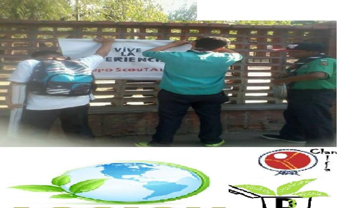 accion ecologica