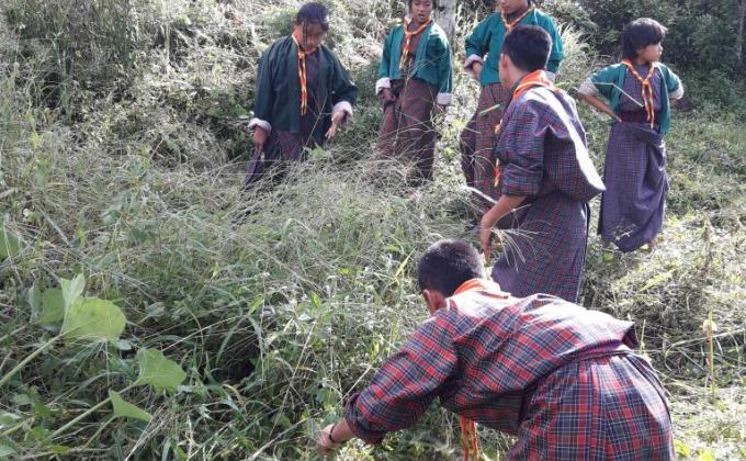Environmental preservation