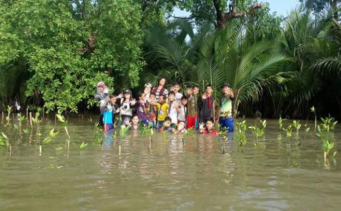 Mangrove planting