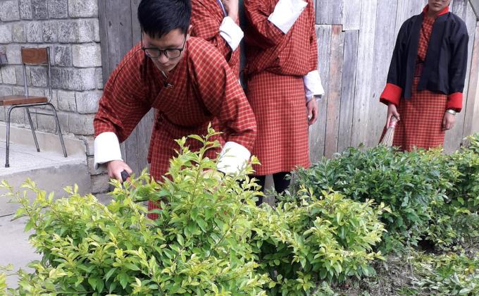 School beautification