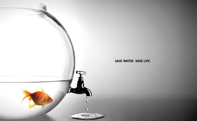 Save yourself!