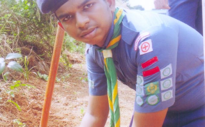 Preservation of greenery