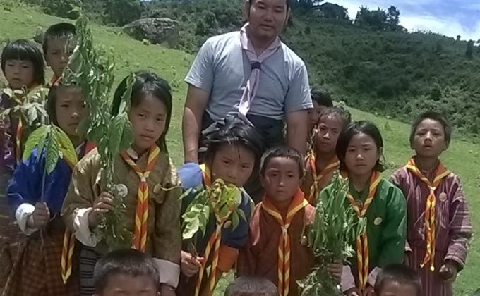 Plantation of fruit bearing trees