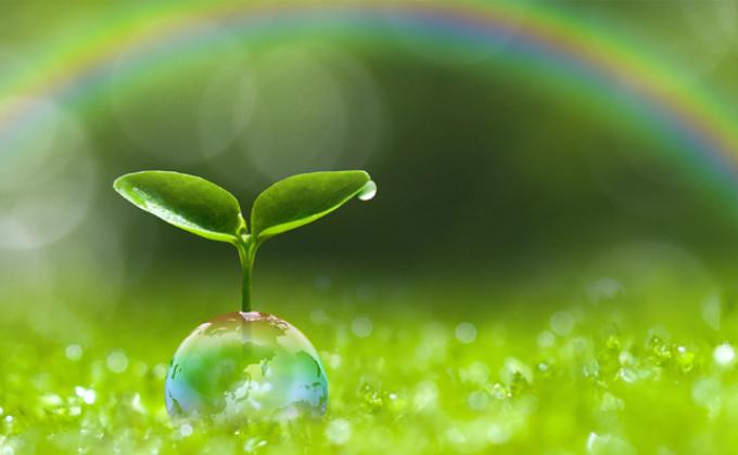 Take care our environment