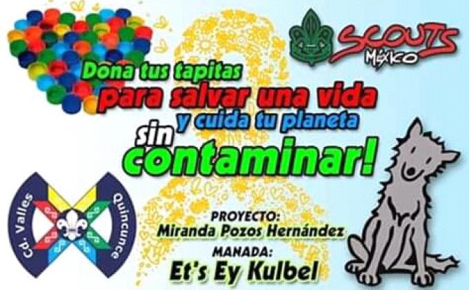 Dona Tapitas para Salvar una Vida y Cuida tu Planeta sin Contaminar
