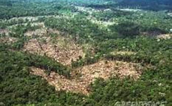Salve a Floresta Amazonica