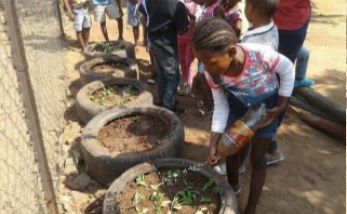 Creating a Food Garden in School