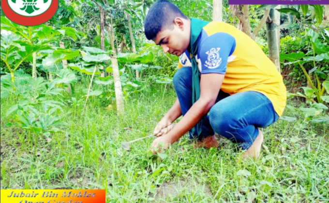 Tree Plantation-2021