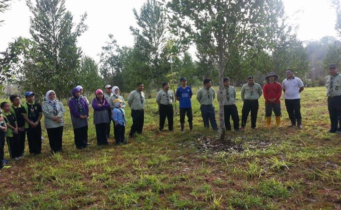 Tree Planting in Brunei