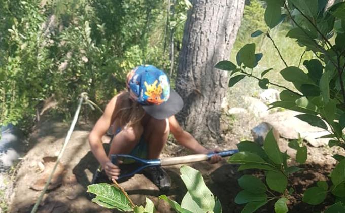 Tree Planting and Shoreline Clean Up