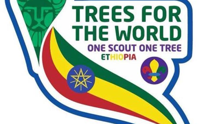 Tree for the world
