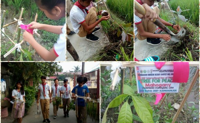 Bungahan Senior Scouts 446-447: Tree for Peace
