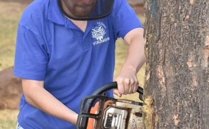 Exotic tree removal and replacement at Scout campsite