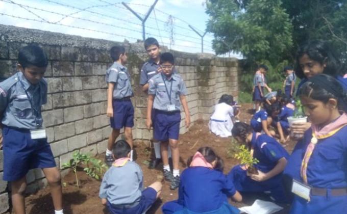 Tree plantation 