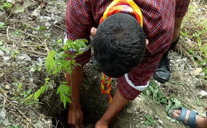 Social forestry day celebration