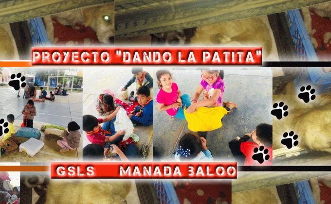 DANDO LA PATITA