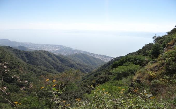 VIDA AL AIRE LIBRE