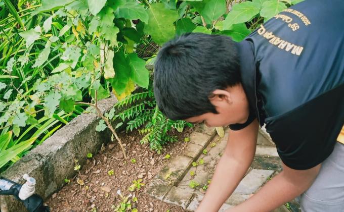 Making a compost bin and gardening