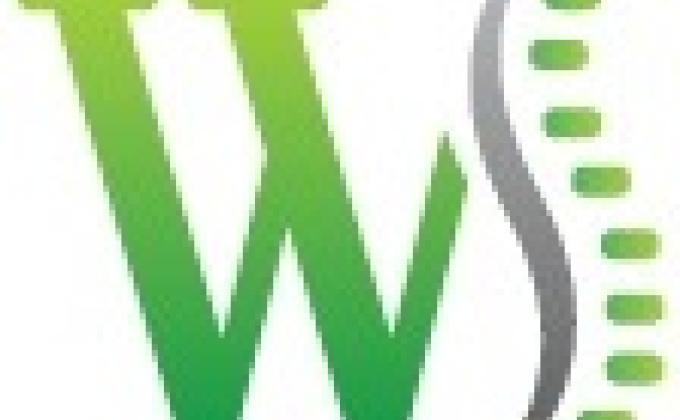 Wellness SOlutions